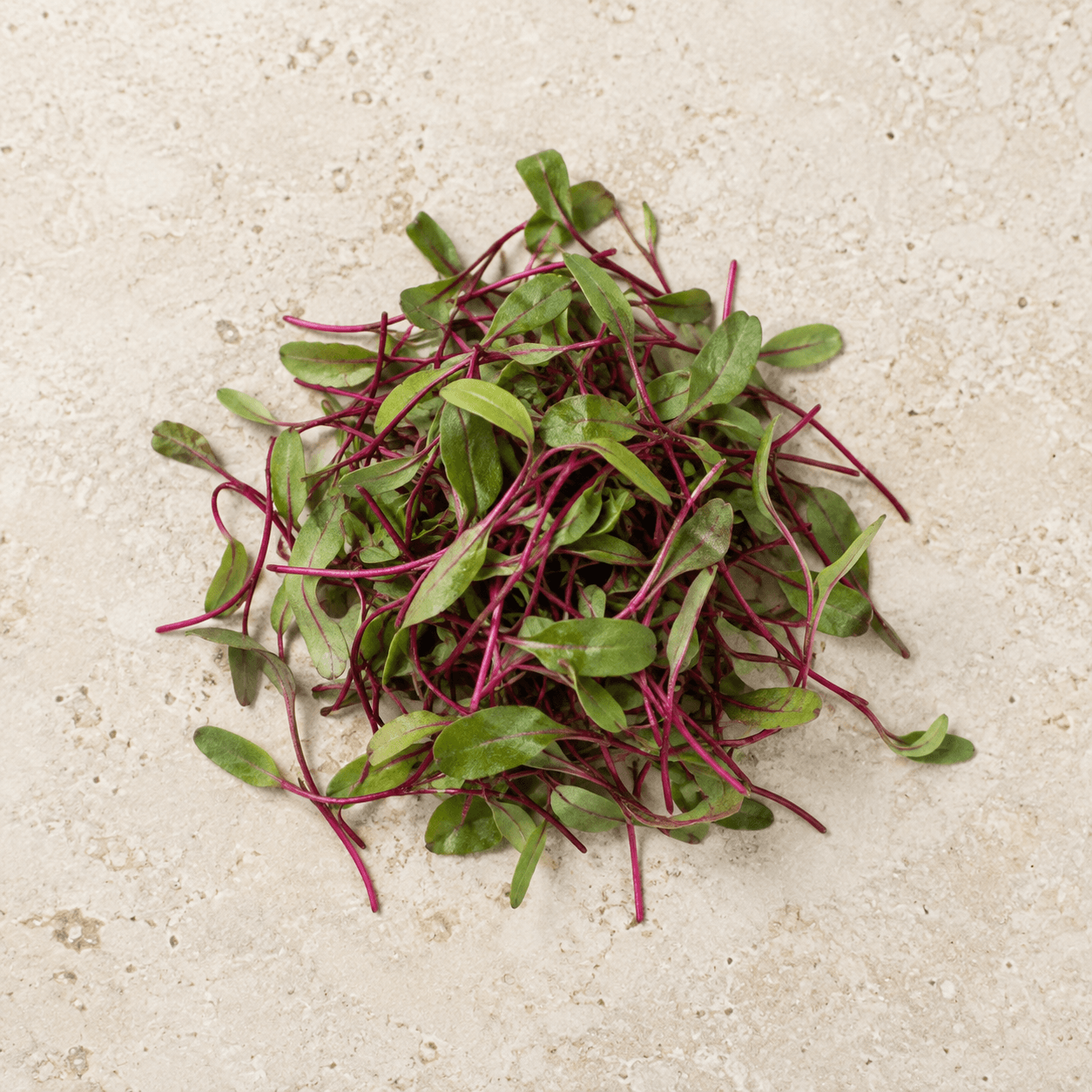 Beet microgreens
