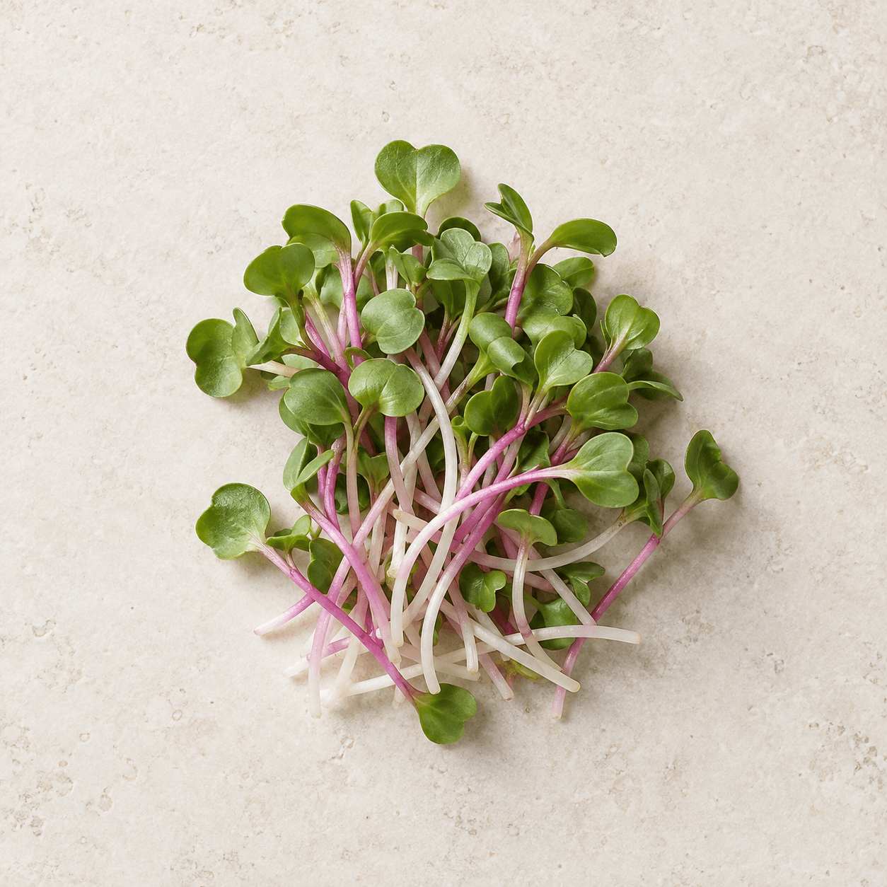 Radish microgreens