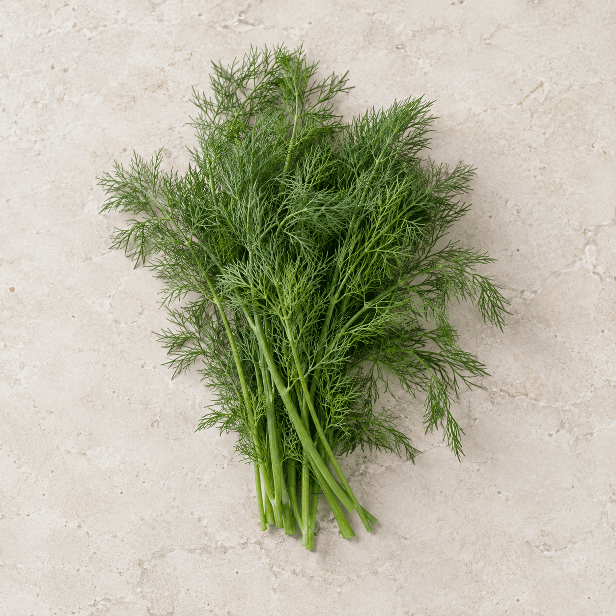 Dill