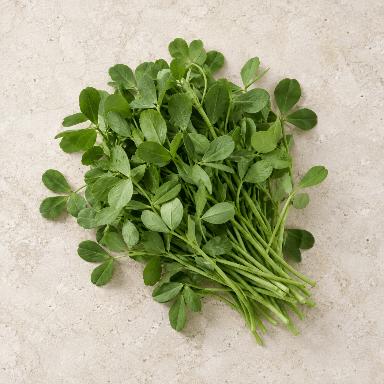 Fenugreek greens