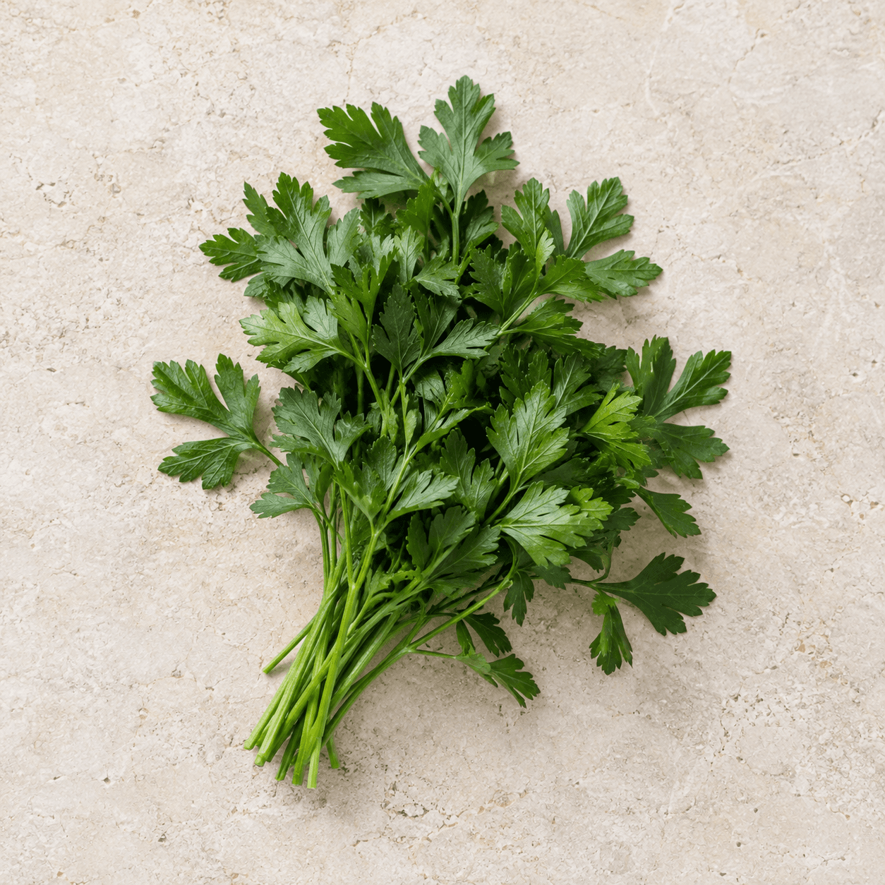 Flat-leaf parsley