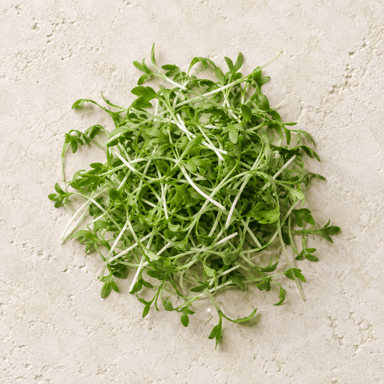 Garden cress microgreens