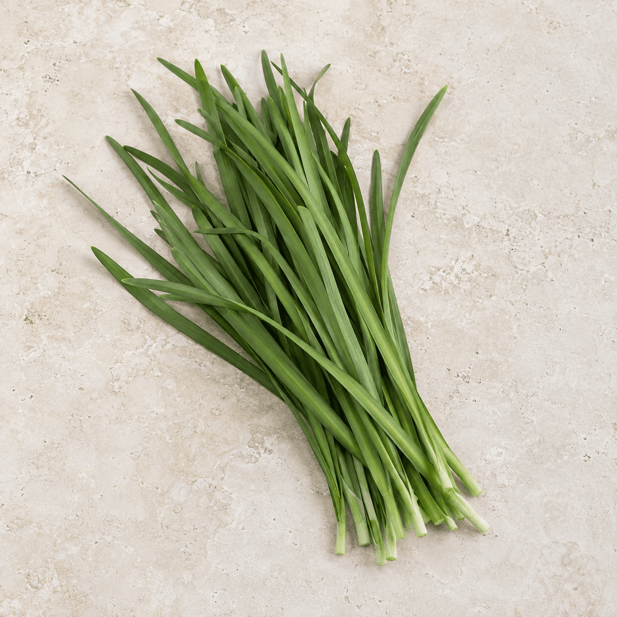 Garlic chives