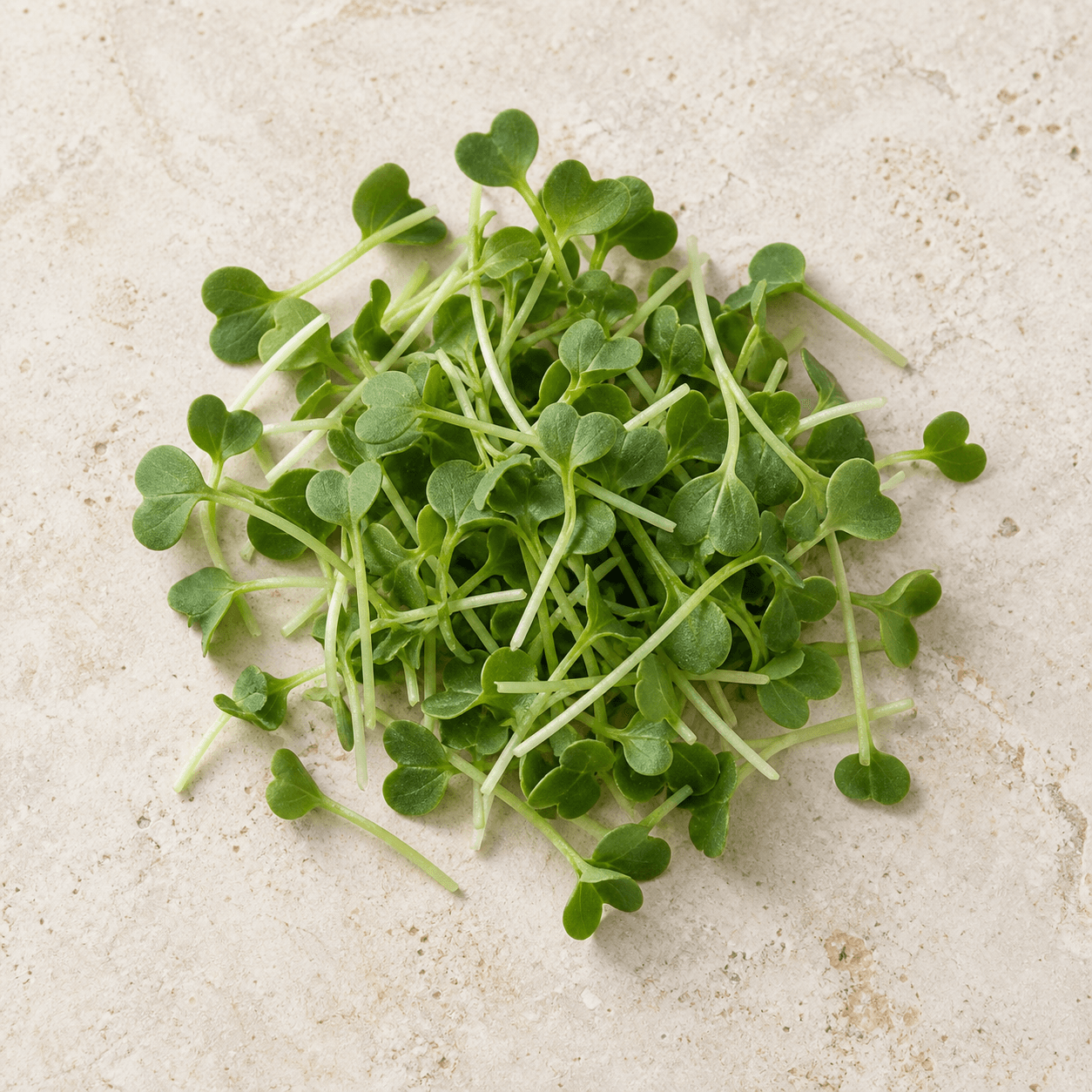Kale microgreens