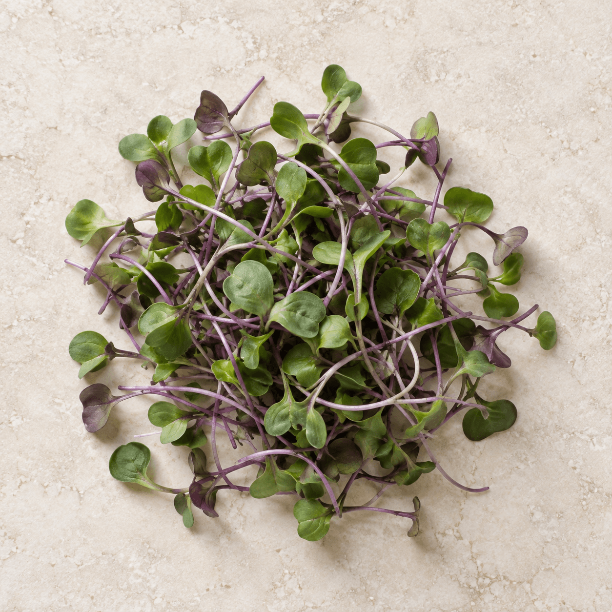 Kohlrabi microgreens