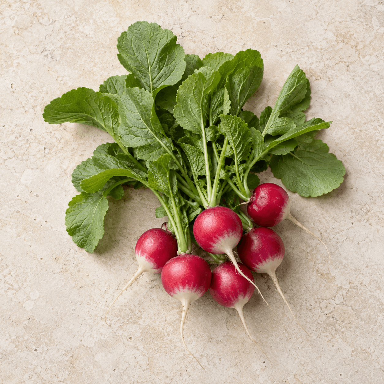 Radish
