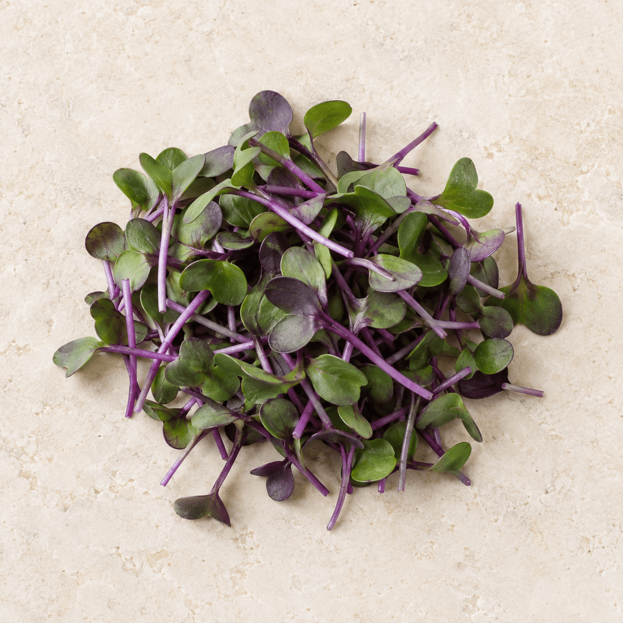 Red cabbage microgreens