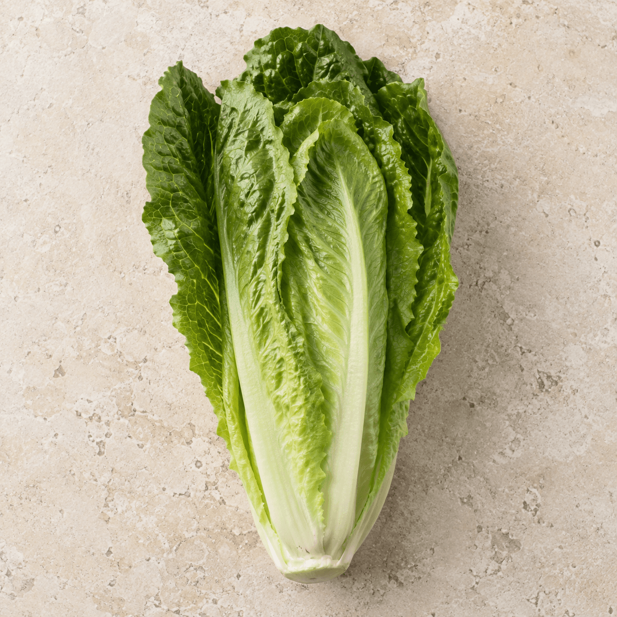 Romaine lettuce