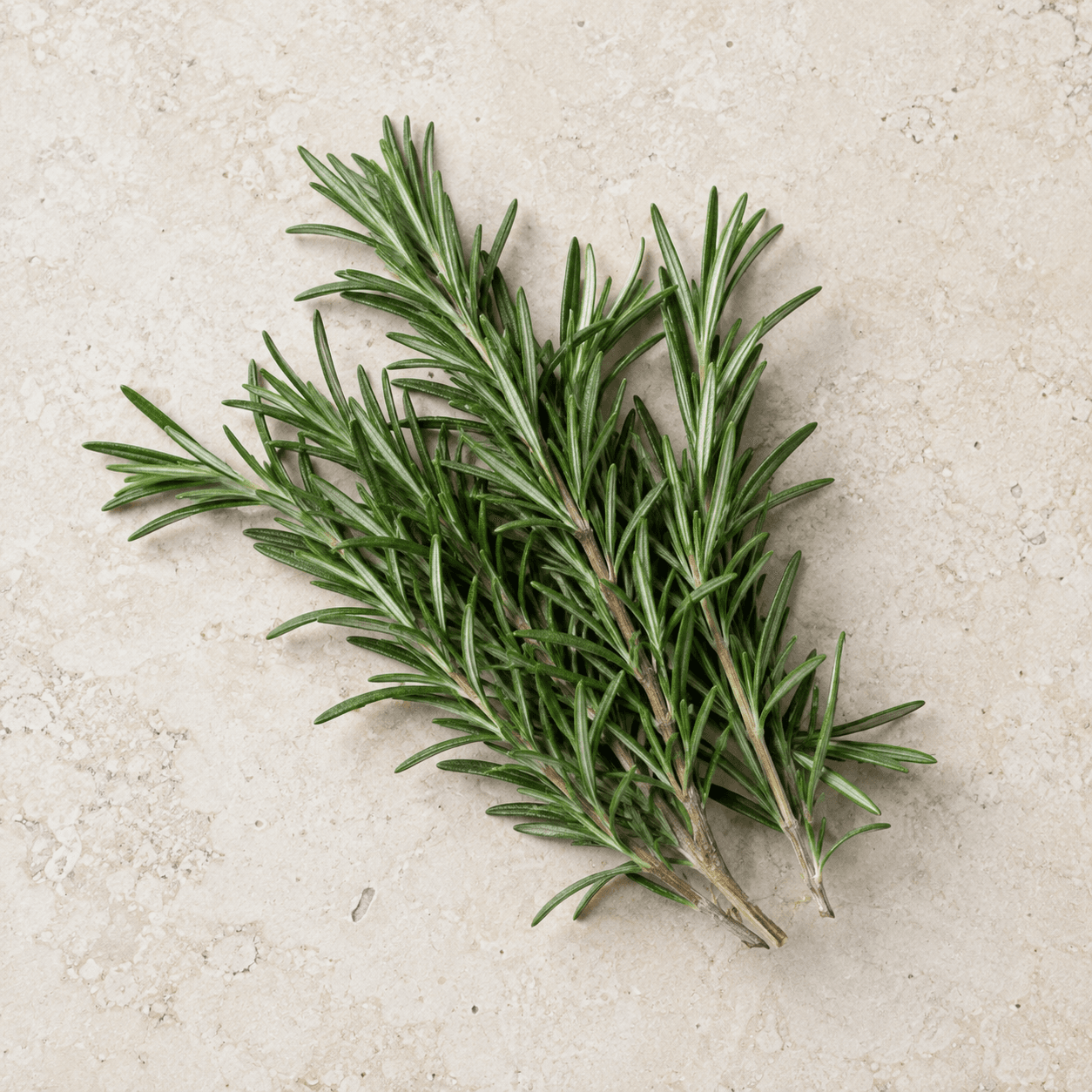 Rosemary