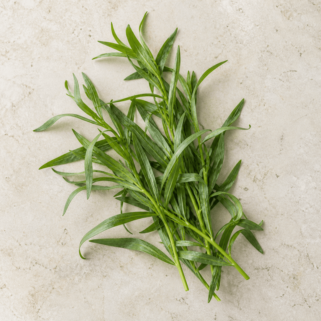 Tarragon