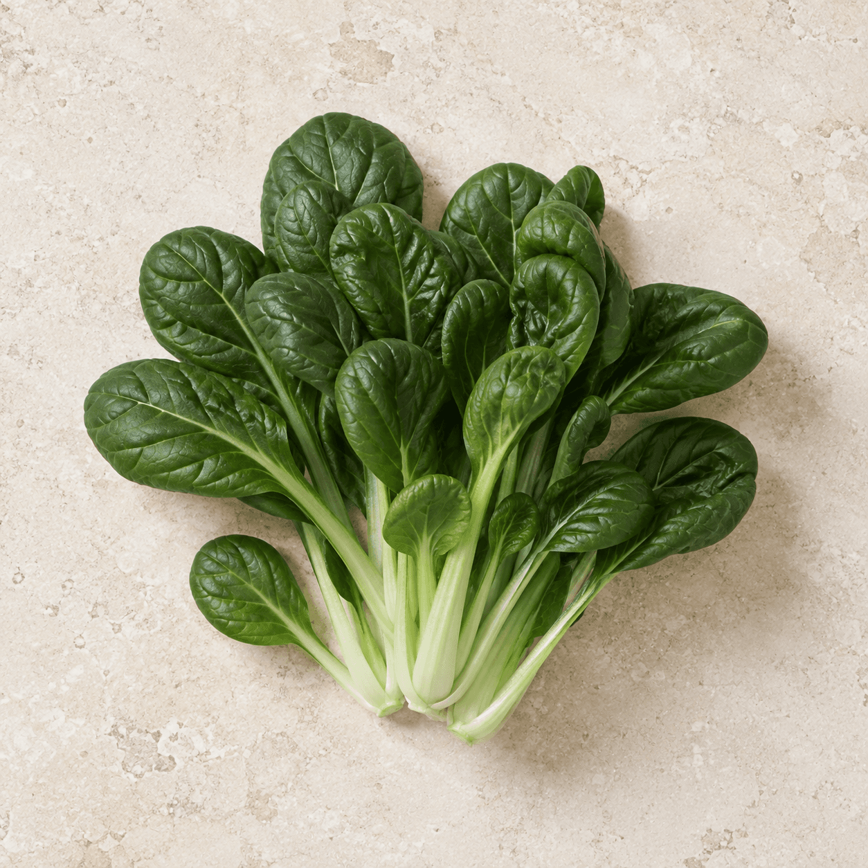 Tatsoi