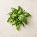 Basil